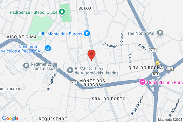 Gato Sapato-Pronto-A-Vestir Lda