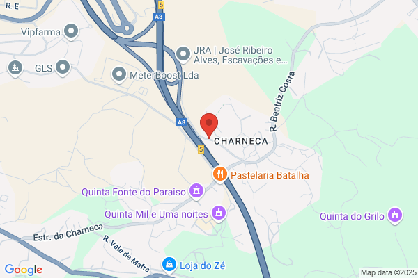 António C C Ribeiro Santos
