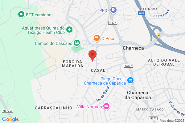 Litografia De Portugal. Sa