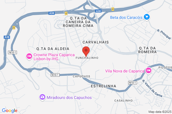 Adelino J Gonçalves Teixeira