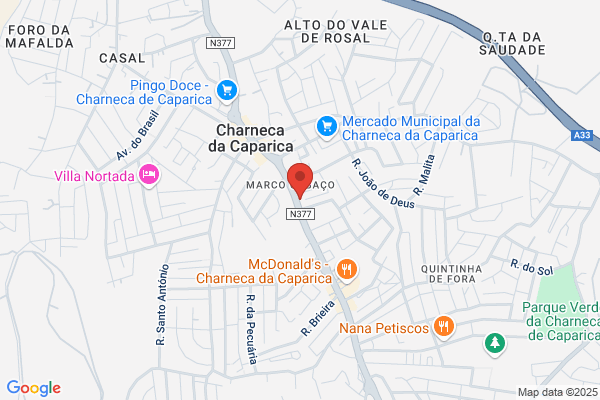 Clínica De Medicina Veterinária