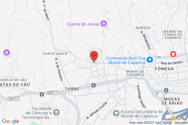 Cooperativa De Ensino Superior Egas Moniz. Crl