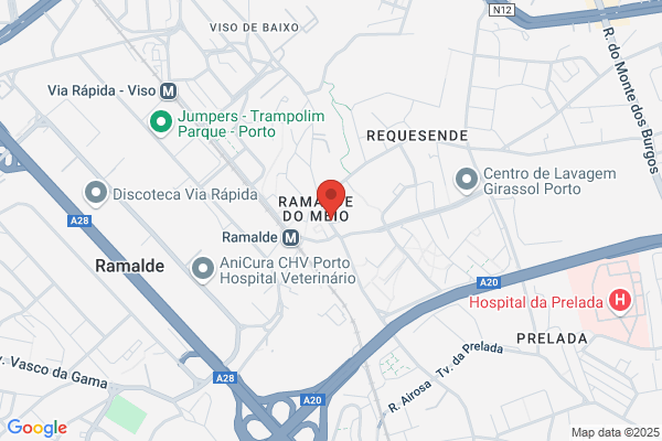 Joàn L Teixeira Melo