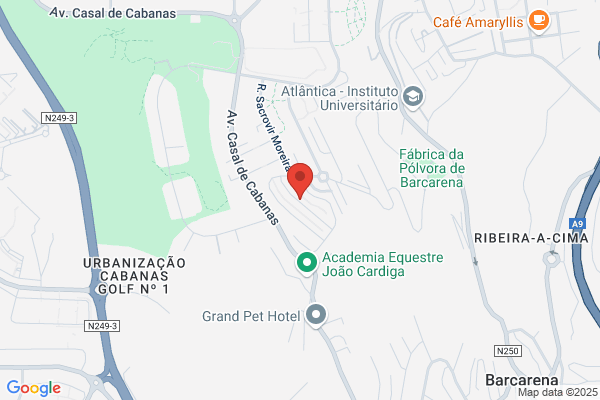 Raizdata-Servió E Comãio Empresariais Lda