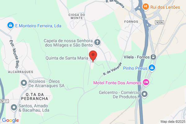 Maria Manuel Lopes