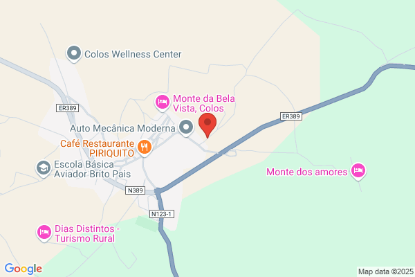 Maria A Botelho Marques