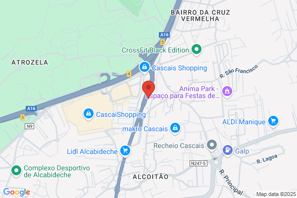Cogumelo-Sociedade De Empreendimentos Tecnicos Comerciais E Industriais. lda