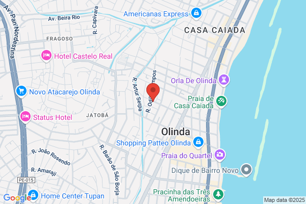 Olinda C V Santos Tiago