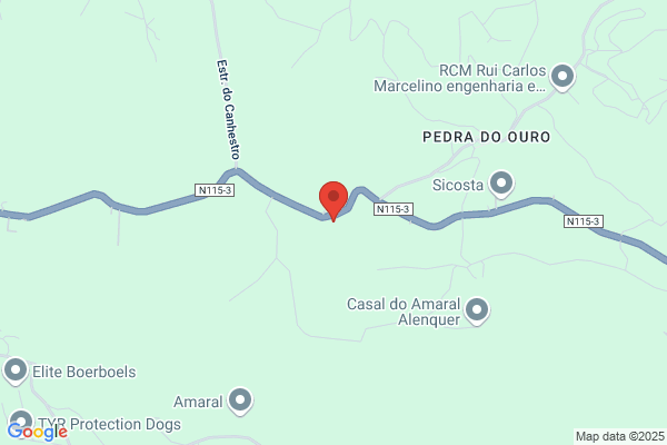 Ecar - Empresa De Comãio Automl Lda
