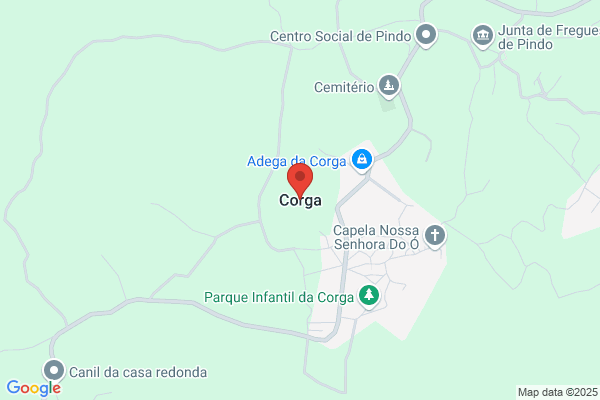 Alberto Trindade Lopes