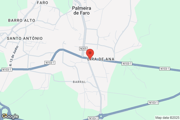 Farmácia Palmeira
