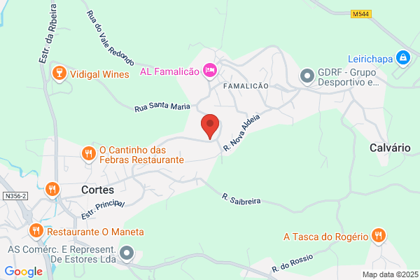 Maria E Godinho Encarnao