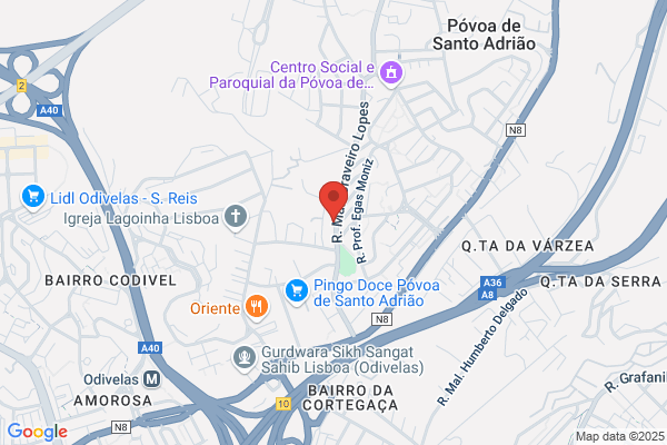 Lucia A Marques Ferreira