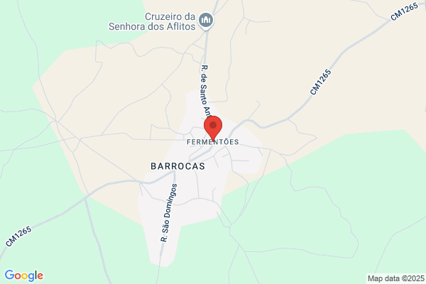 Maria D P G Serôdio S Borges