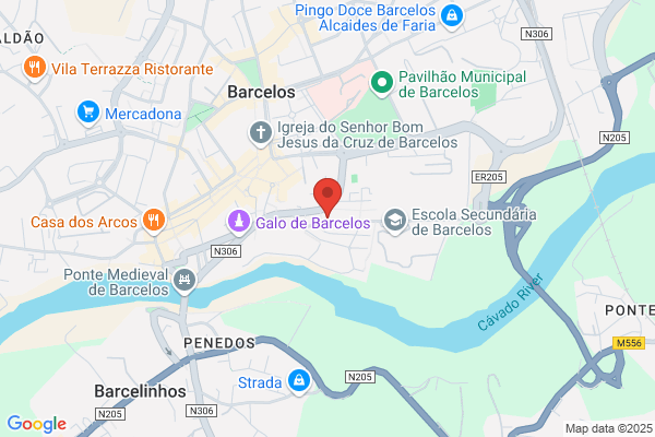 Celius-Consultoria E Serviios. Lda