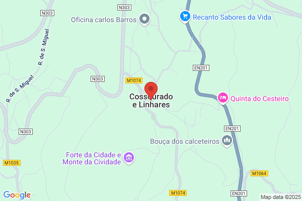 Conceiiao De Campos Ferreira