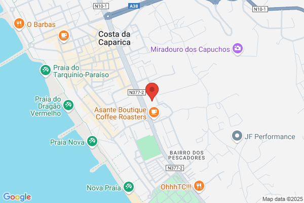 Adelaide F S Gomes Ferreira