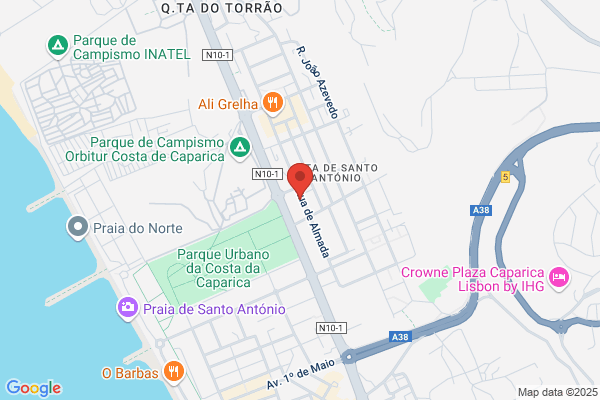 Adelino J Gonçalves Teixeira