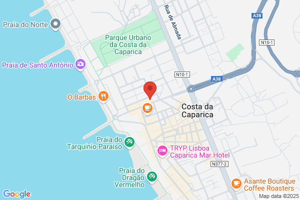 Cabeleireiro Catit