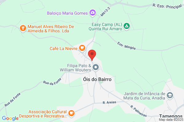 Agência De Seguros Deolinda Rosa Moura Lda