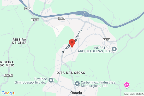 David Rodrigues-Transportes Lda