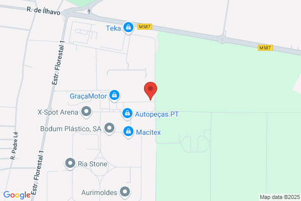 Lisete Jesus Cerdeira