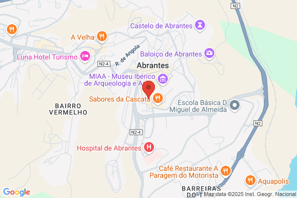 Paula F Almeida Abrantes
