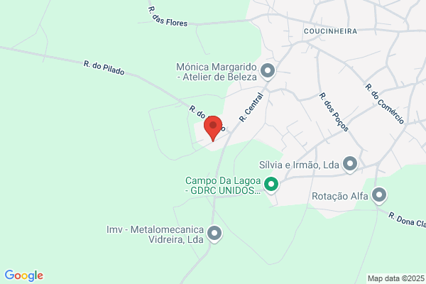 C G A-Comercio Geral De Avestruzes. Lda
