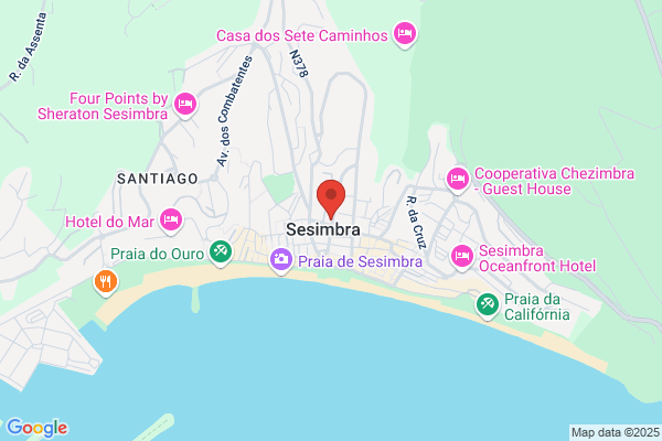 Jose Henrique Costinha Da Silva