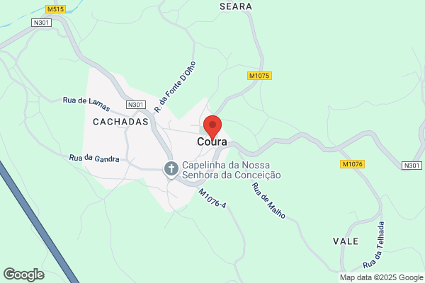 Henriqueta M S Ribeiro Alves