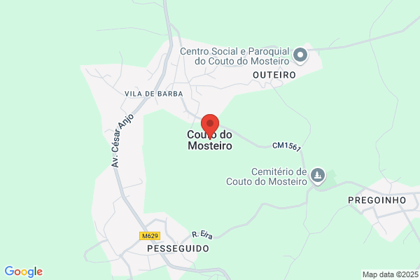 Viriato Manuel Matos