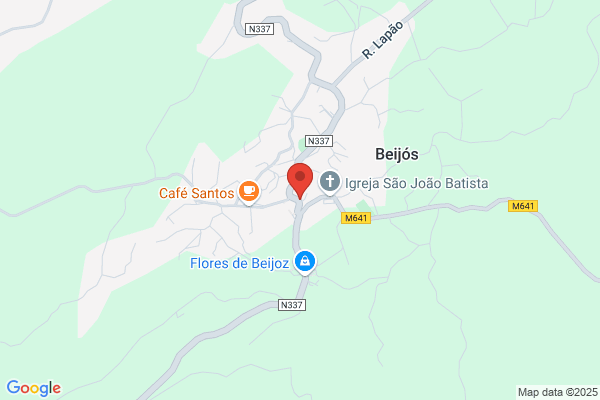 Isabel M Santos Mendes