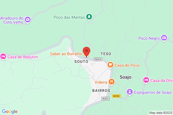Maria F Espéto-Santo Borralho