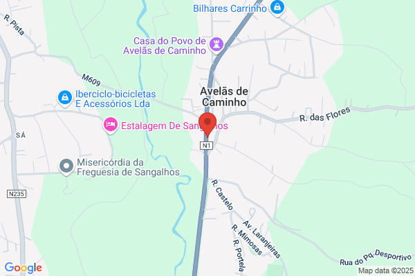 Elza J Adàgonlves