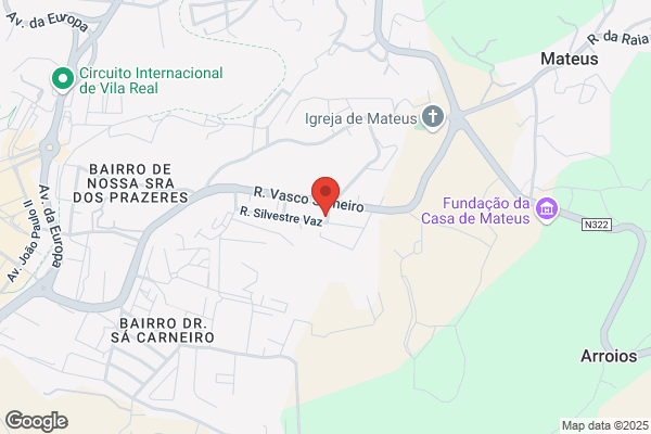 António João F F Viamonte