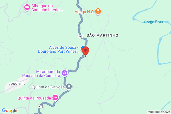 António M Firmino Alves