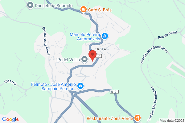 António S Prazeres Costa