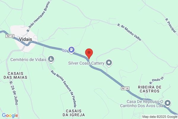 Casa De Repouso Coutinho-Sociedade Unipessoal Lda