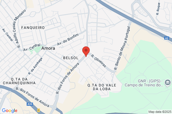 Prediseixal-Sociedade De Mediaï Imobiliéa Lda