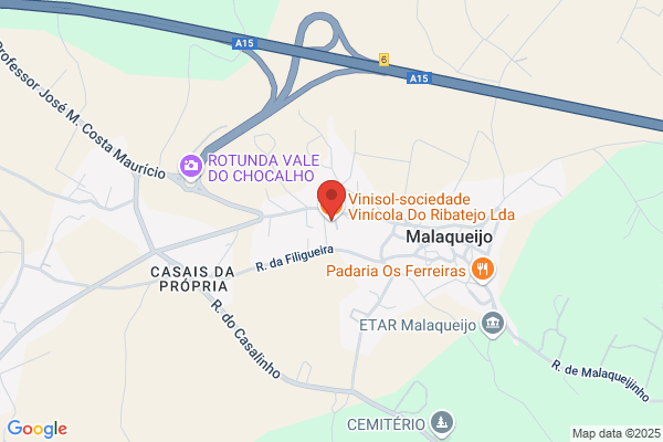 Nova Vinecola. Lda