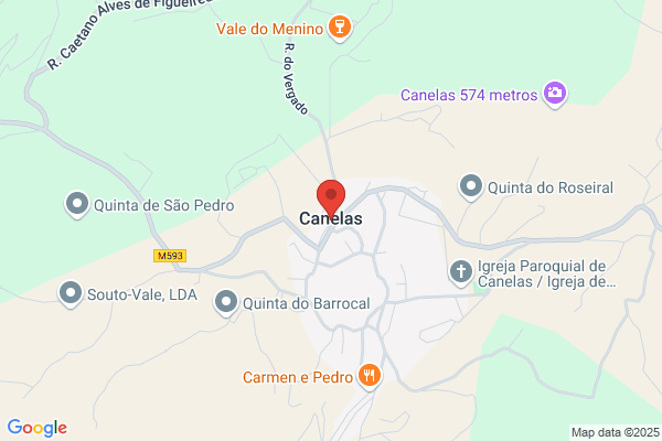 José C Reis Campos