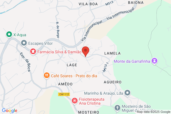 Maria De Fatima Ascensao