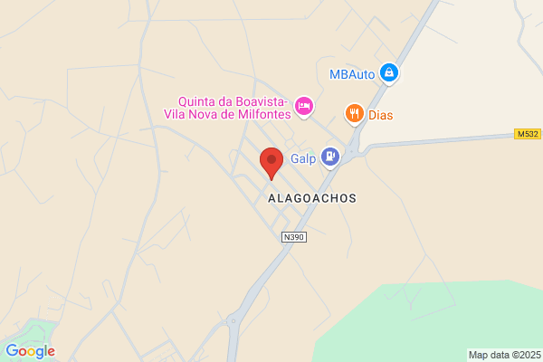 Manuel A Dinis Coelho