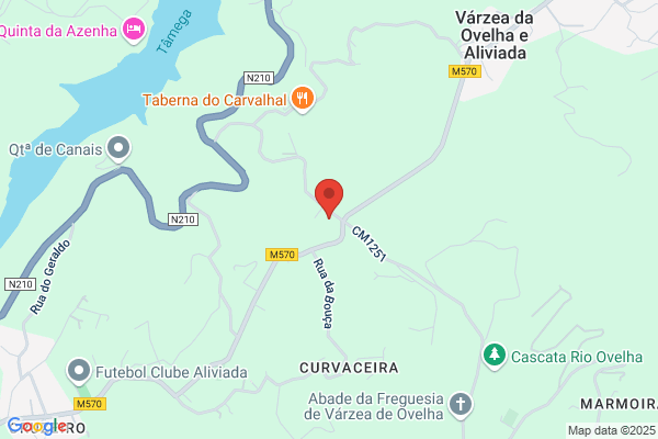 Inéo Rosa Filhos Lda