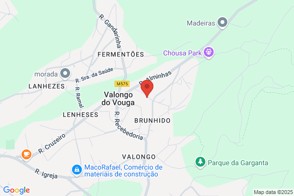 Joaquim A Caixeiro Vasco