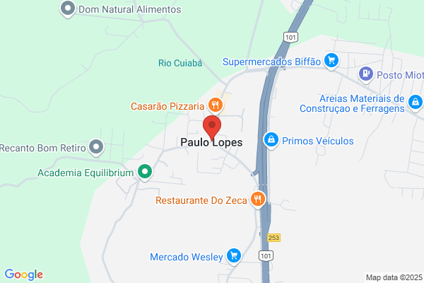Paulo J Lopes Calado