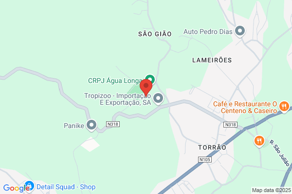 A Silva Ferreira