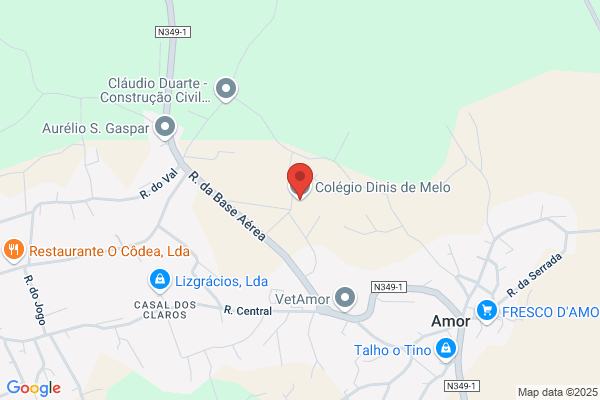 António C S Dinis Melo