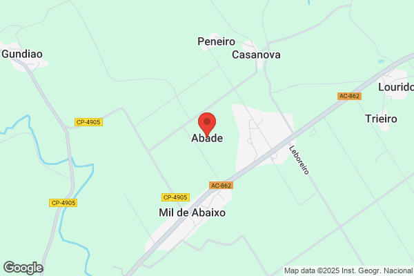 Abade De São Pedro De Araújo
