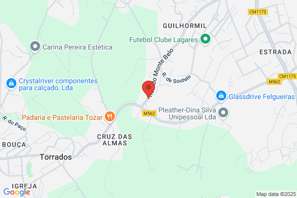 Carla T P Magalhs Coelho